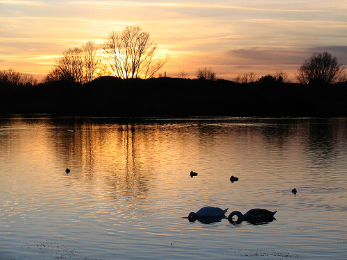 willenlake.jpg